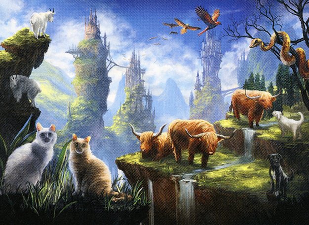 Animal Sanctuary