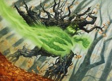 Burlfist Oak