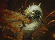 Carrion Grub