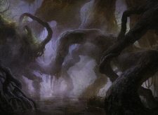 Dismal Backwater