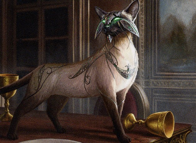 Feline Sovereign