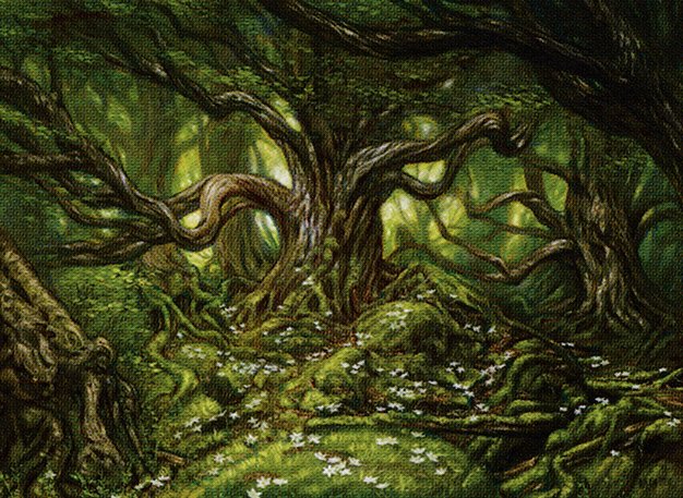 Forest