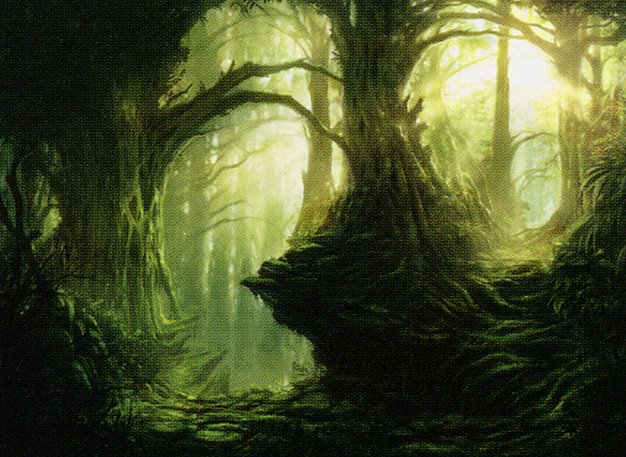 Forest
