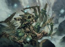 Fungal Rebirth