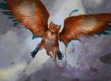 Gale Swooper