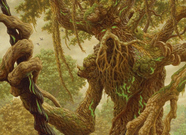 Gnarled Sage