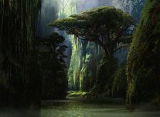 Jungle Hollow