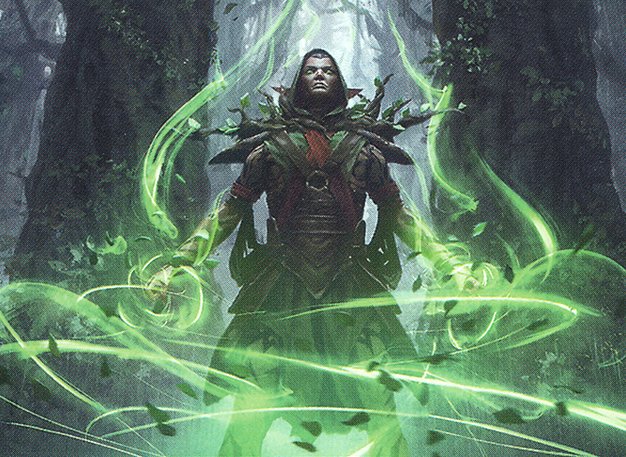Llanowar Visionary
