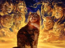 Nine Lives