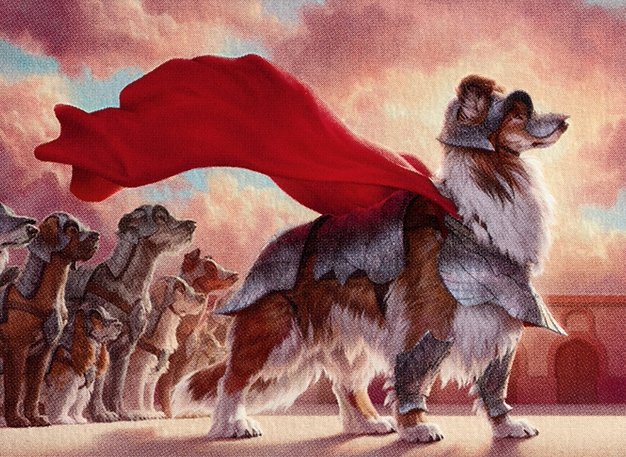 Pack Leader
