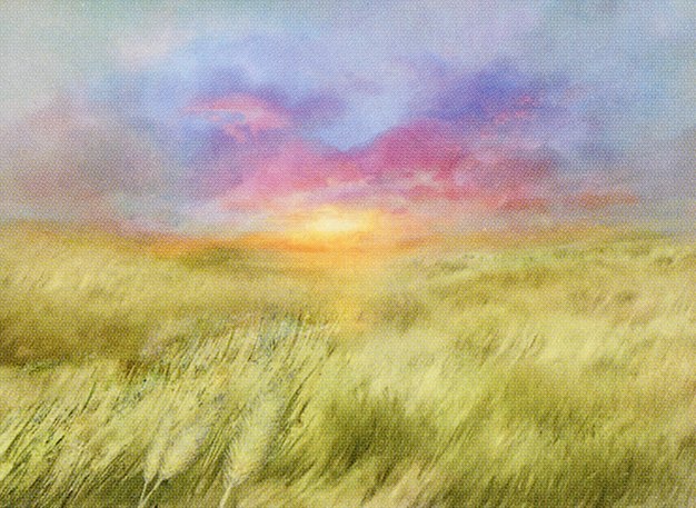 Plains