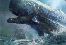Pursued Whale