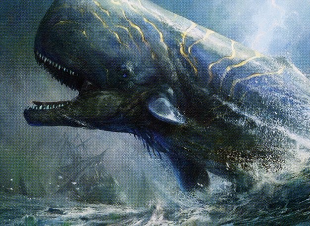 Pursued Whale