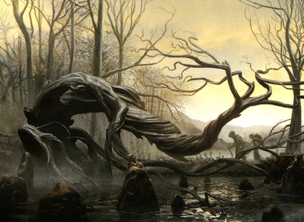 Swamp