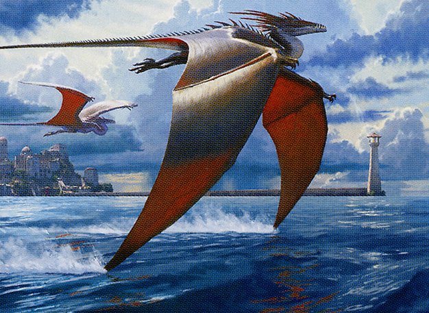 Tide Skimmer