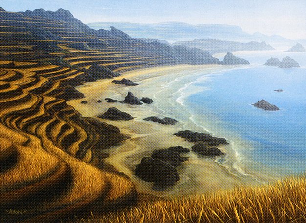 Tranquil Cove