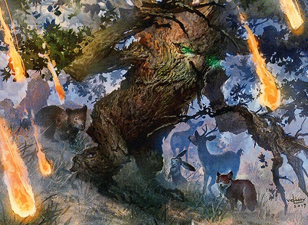Warden of the Woods