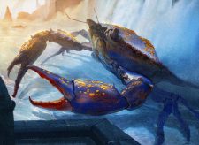 Wishcoin Crab