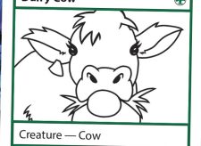 Dairy Cow