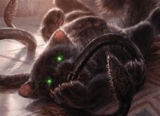 Displacer Kitten