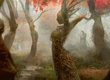 Dryad Arbor