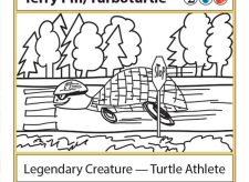 Terry Pin, Turboturtle