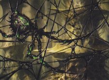 Blightwidow