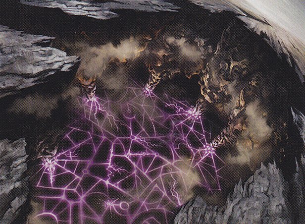 Decimator Web