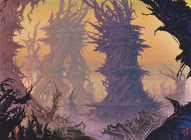 Forest