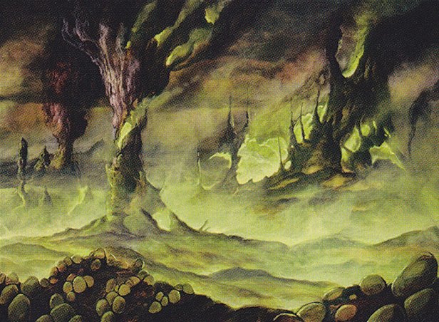Swamp