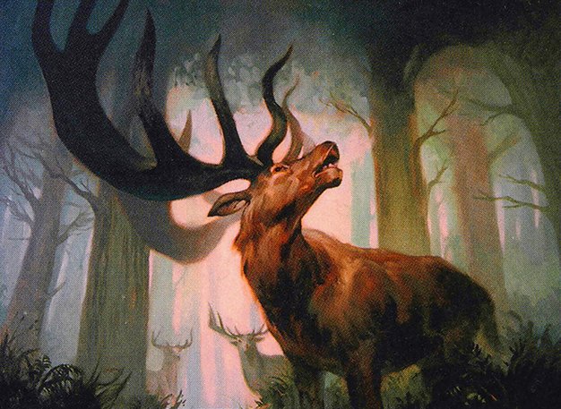 Bellowing Elk