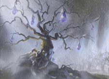 Birthing Boughs