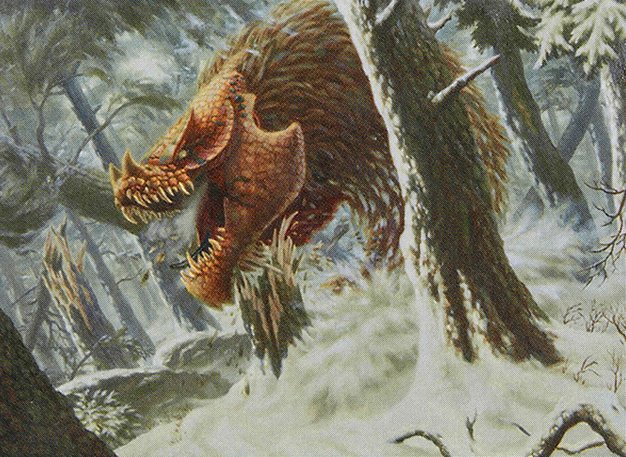 Conifer Wurm