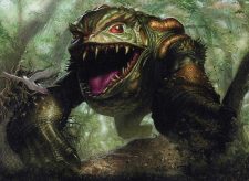 Excavating Anurid