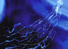 Man-o’-War