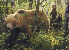 Mother Bear