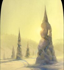 Snow-Covered Forest