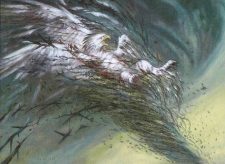 Thornado
