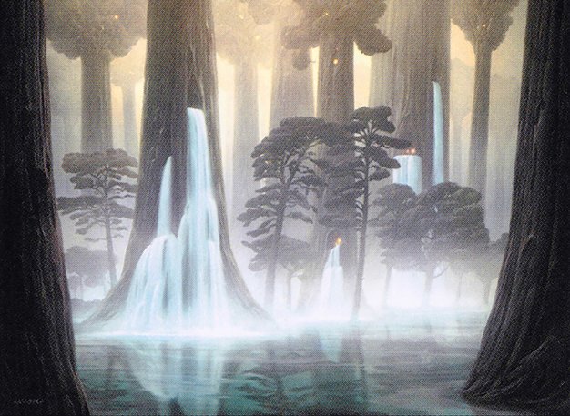 Waterlogged Grove