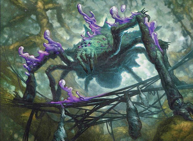 Webweaver Changeling