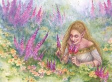 Abundant Harvest