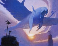 Aeromoeba