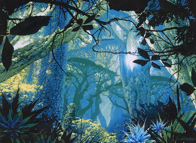 Forest