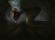 Jewel-Eyed Cobra