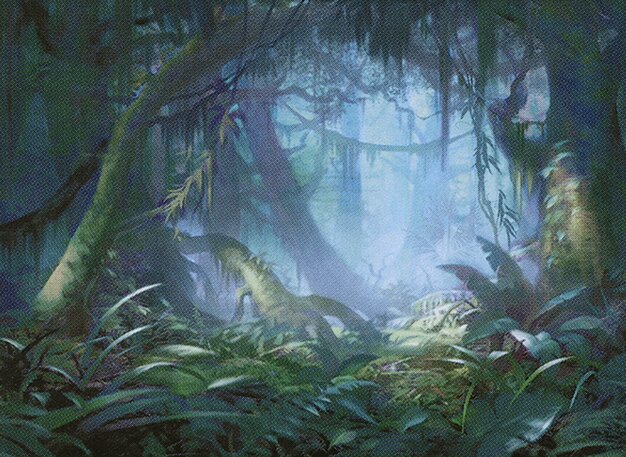 Misty Rainforest