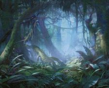 Misty Rainforest