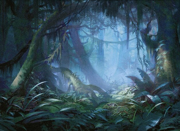 Misty Rainforest