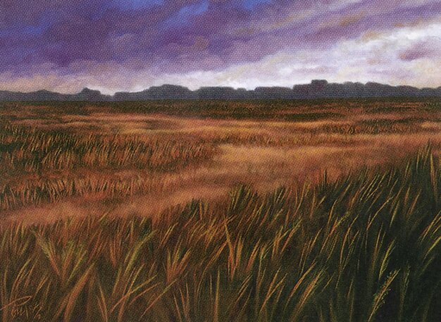 Plains