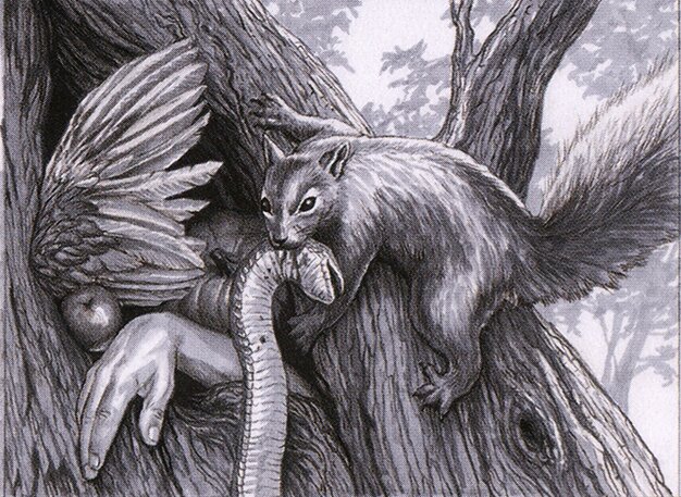 Ravenous Squirrel