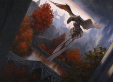 Sanctuary Raptor